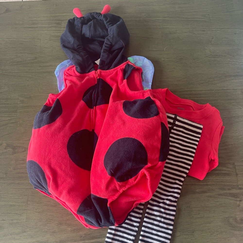 Lady bug costume